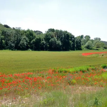 Domaine Vallonguette Holiday home La Rouviere (Gard)